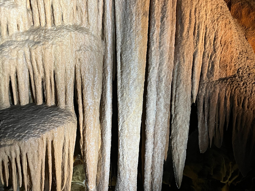 Buchan Caves Reserve景点图片
