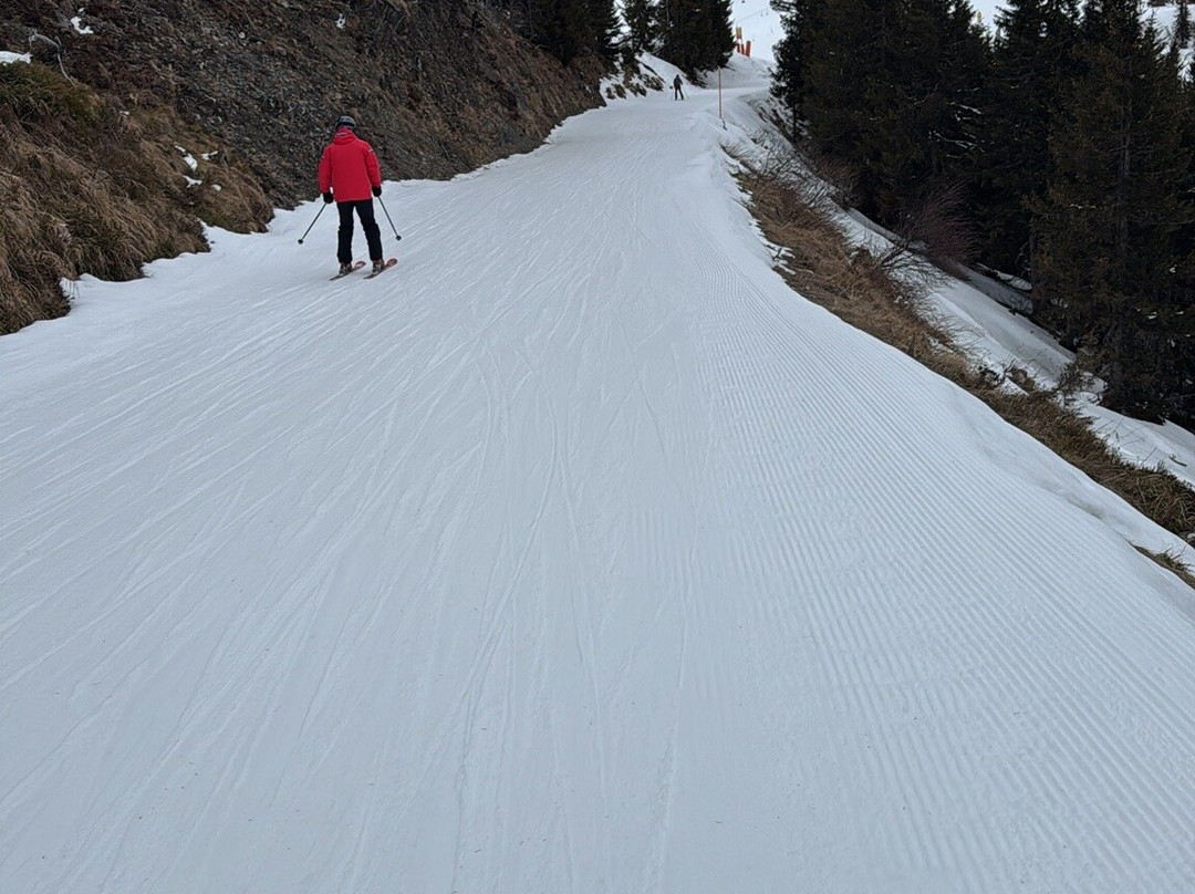 Skigebiet Großarltal-Dorfgastein-果斯萨尔必去景点