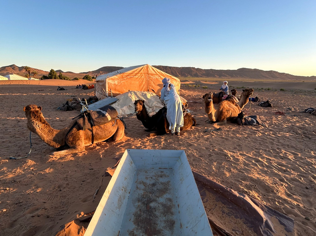 Your Morocco Tour-马拉喀什必去景点