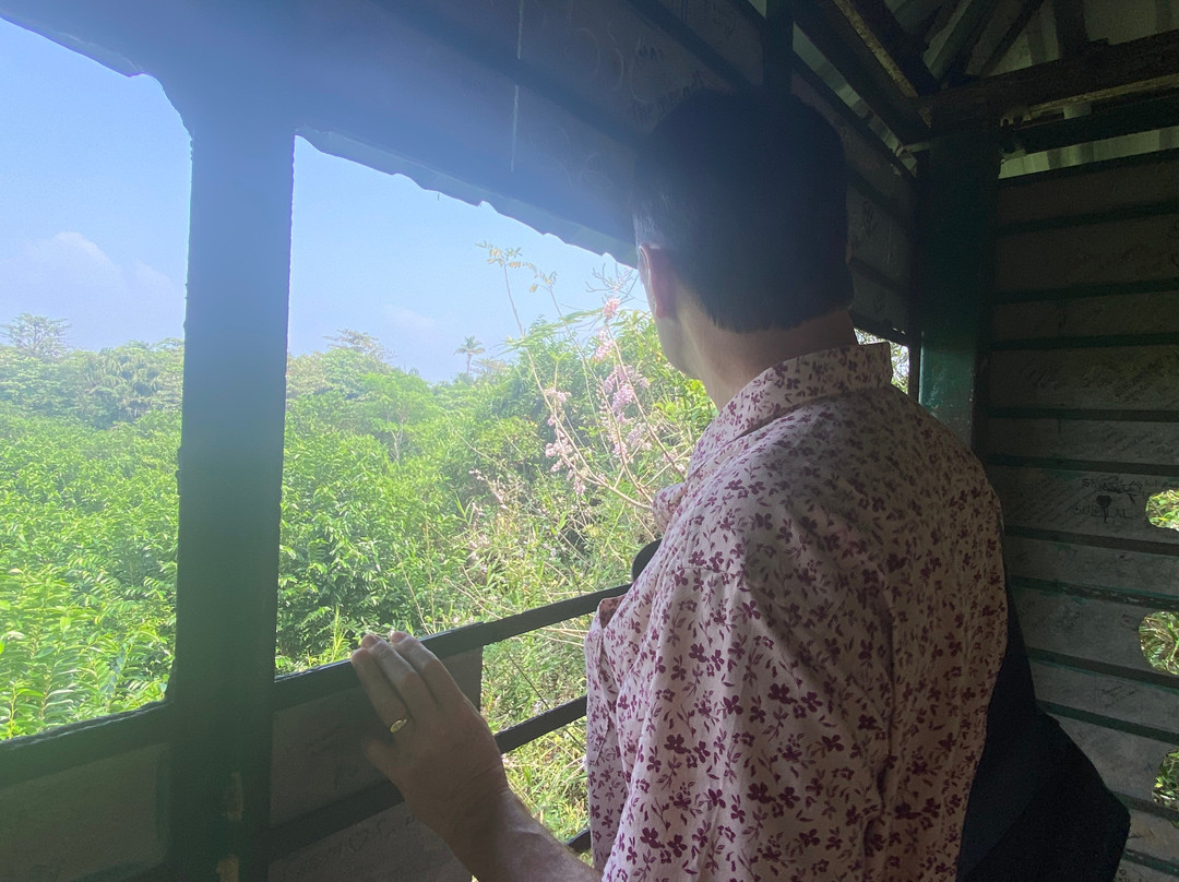 Kumarakom Bird Sanctuary景点图片