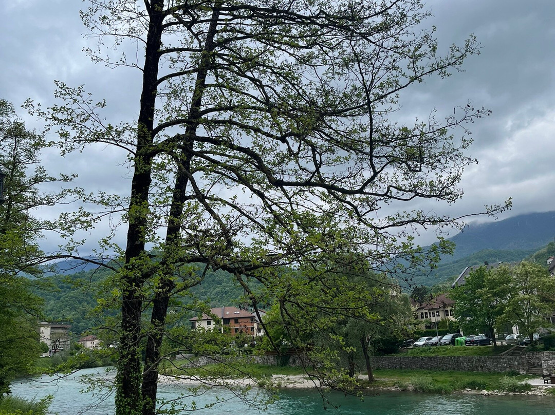 Konjic Bridge景点图片