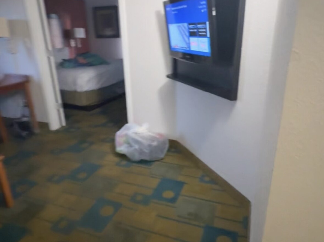 La Quinta Inn & Suites by Wyndham USF主图