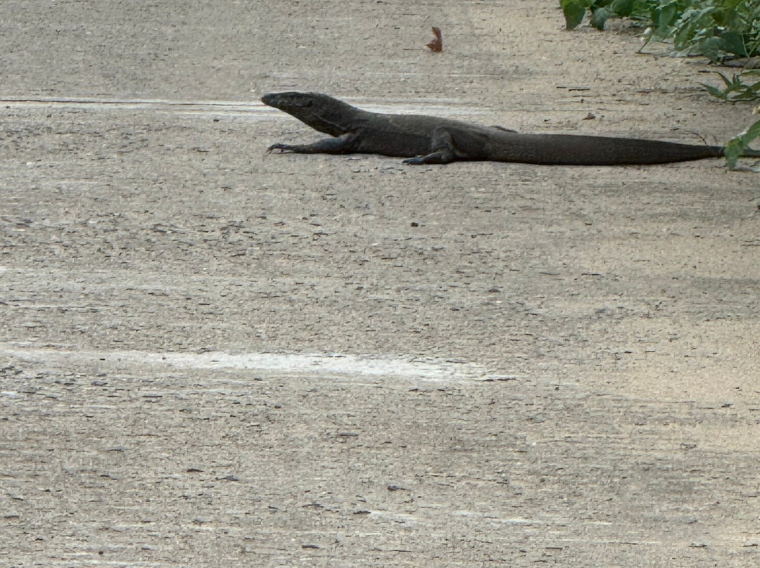 Sri Lanka Peter Tours-阿杭玛必去景点