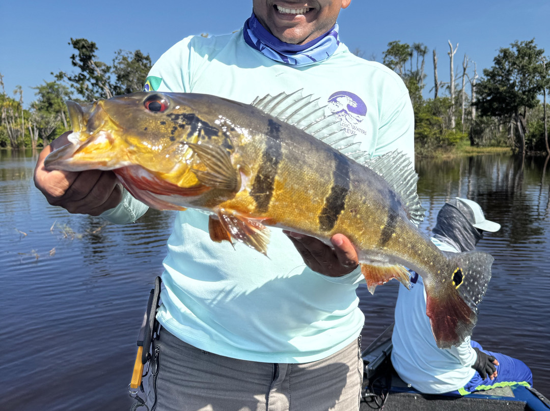 Nomadic Waters Brazil-玛瑙斯必去景点