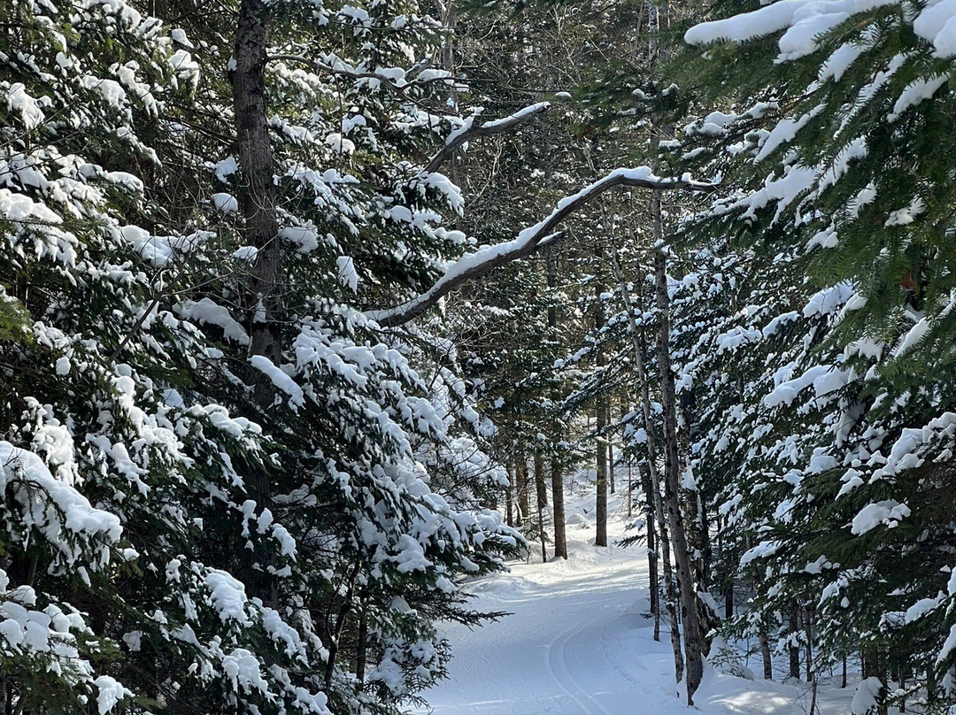 Wild Wings Ski and Yoga-Peru必去景点