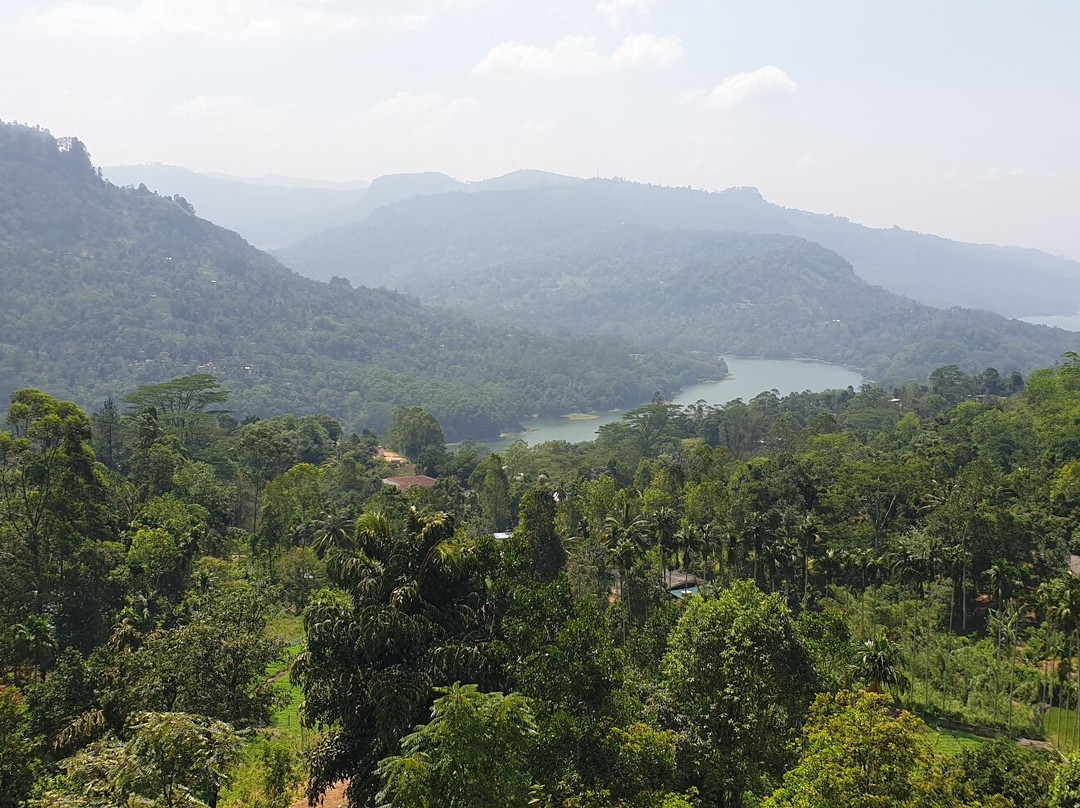 MD Tours - Private Driver Sri Lanka景点图片