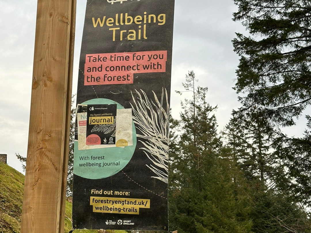 Whinlatter Forest-Braithwaite必去景点