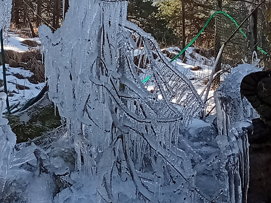 Circolo Culturale Fondazione Amon - Ghost Tour Genova-热那亚必去景点