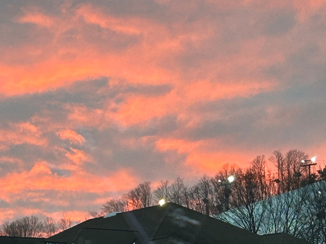 Baymont by Wyndham Beulah主图