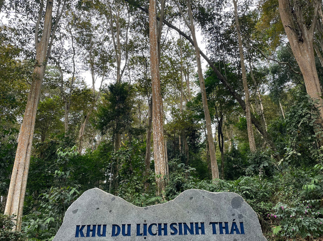 Sang Le Forest景点图片
