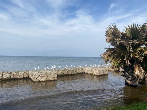 Nandi Adventures-坎帕拉必去景点