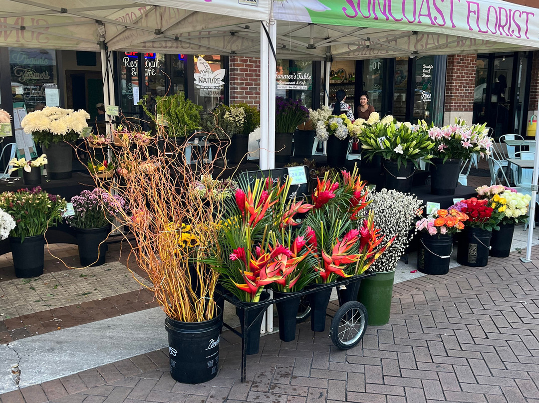 Longboat Key Beach-长船礁必去景点