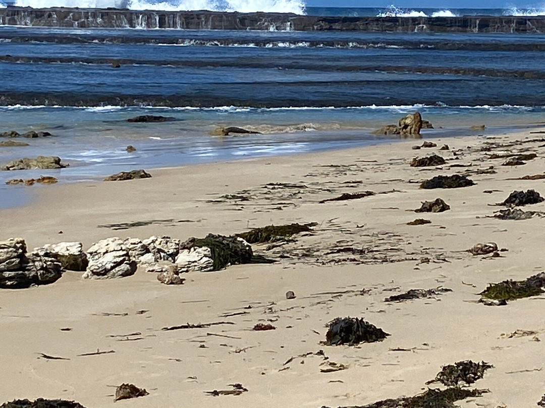 Mollymook Beach景点图片