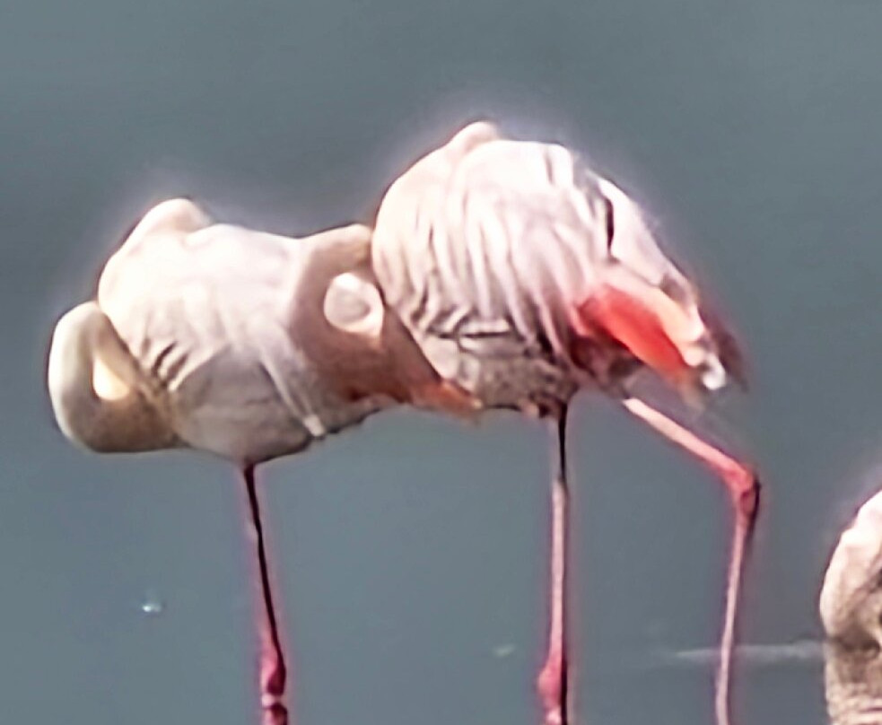 Mikumi Car Rental Safaris-Dar es Salaam必去景点