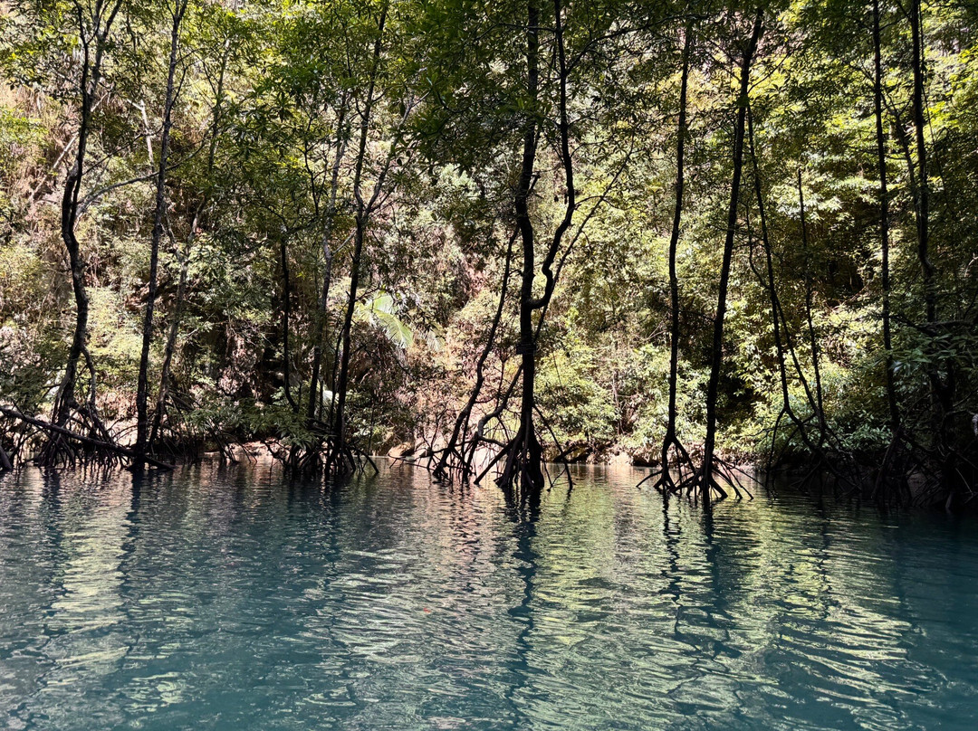 Karst Aways. Krabi Kayak Tour景点图片