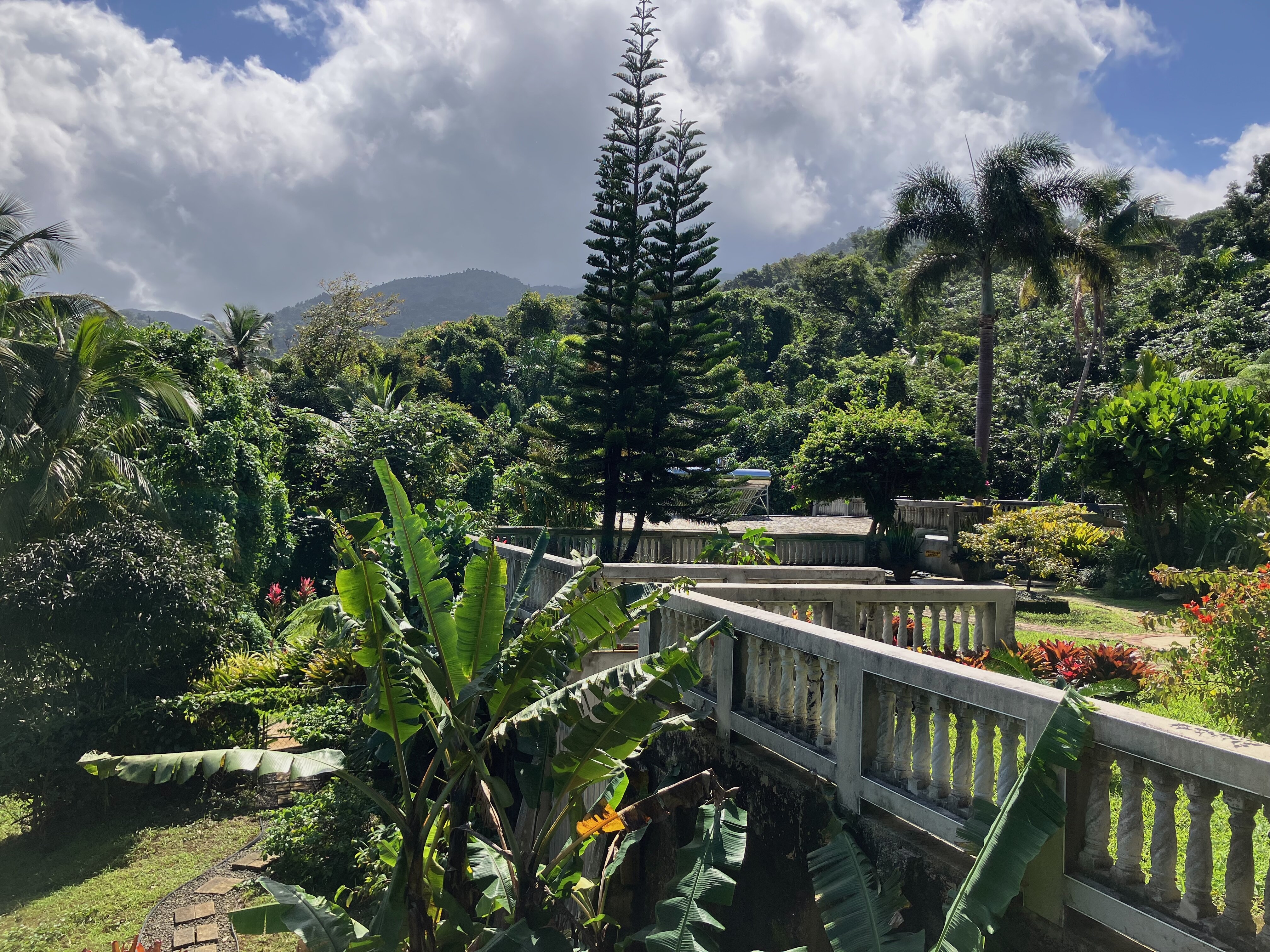 EL Yunque Rainforest Inn-浴室