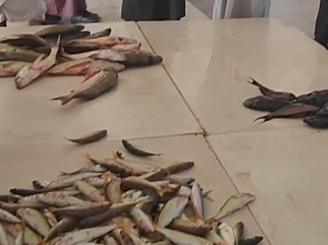 Fish Market-马斯喀特必去景点