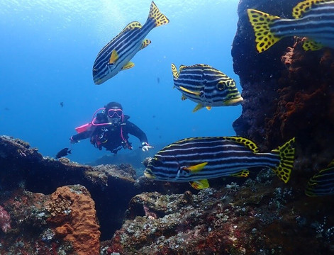 Intrinity Divers-长谷必去景点