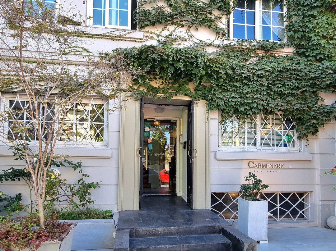 Carménère Hotel主图