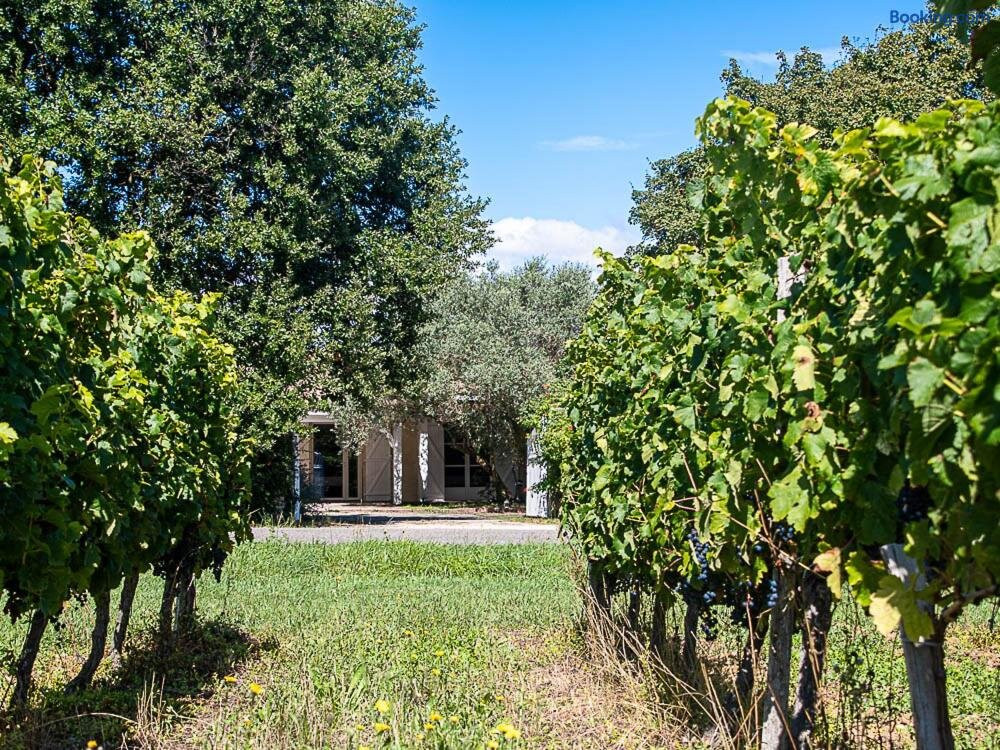 Au détour des Vignes