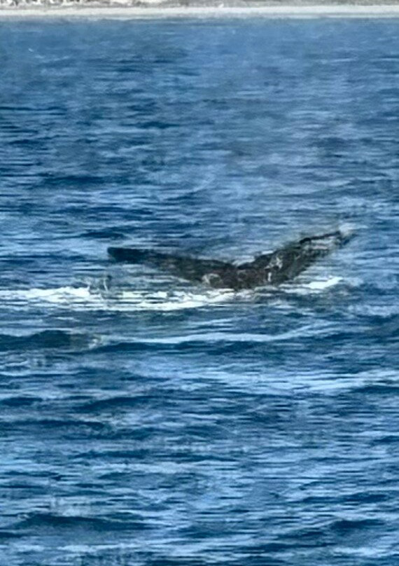 Chica Locca-利他必去景点