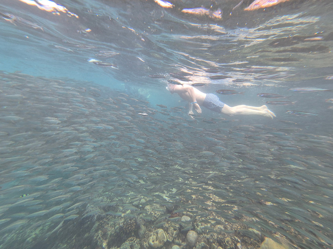 Napaling Reef-Panglao必去景点