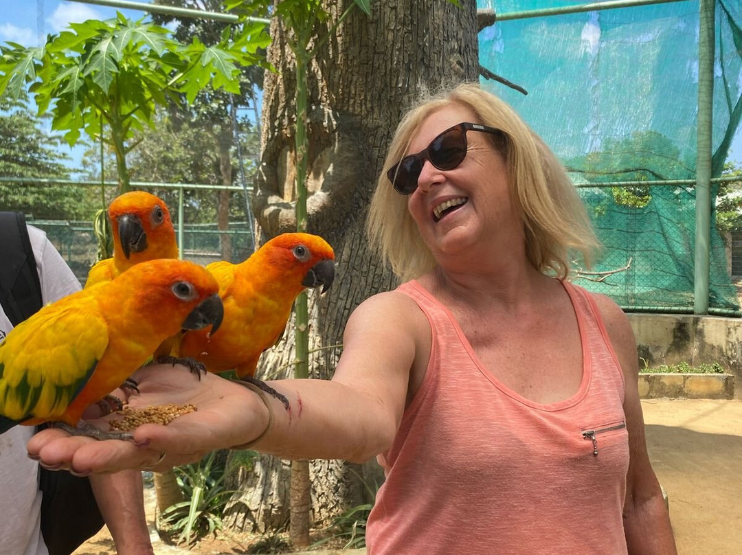 Mango Vacations-康提必去景点