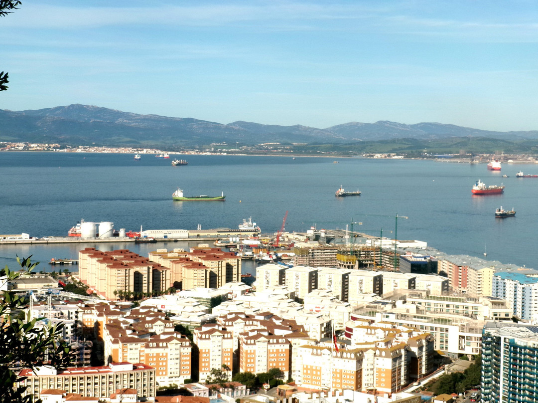 Rocky Monkey Gibraltar Tours-Gibraltar Town必去景点