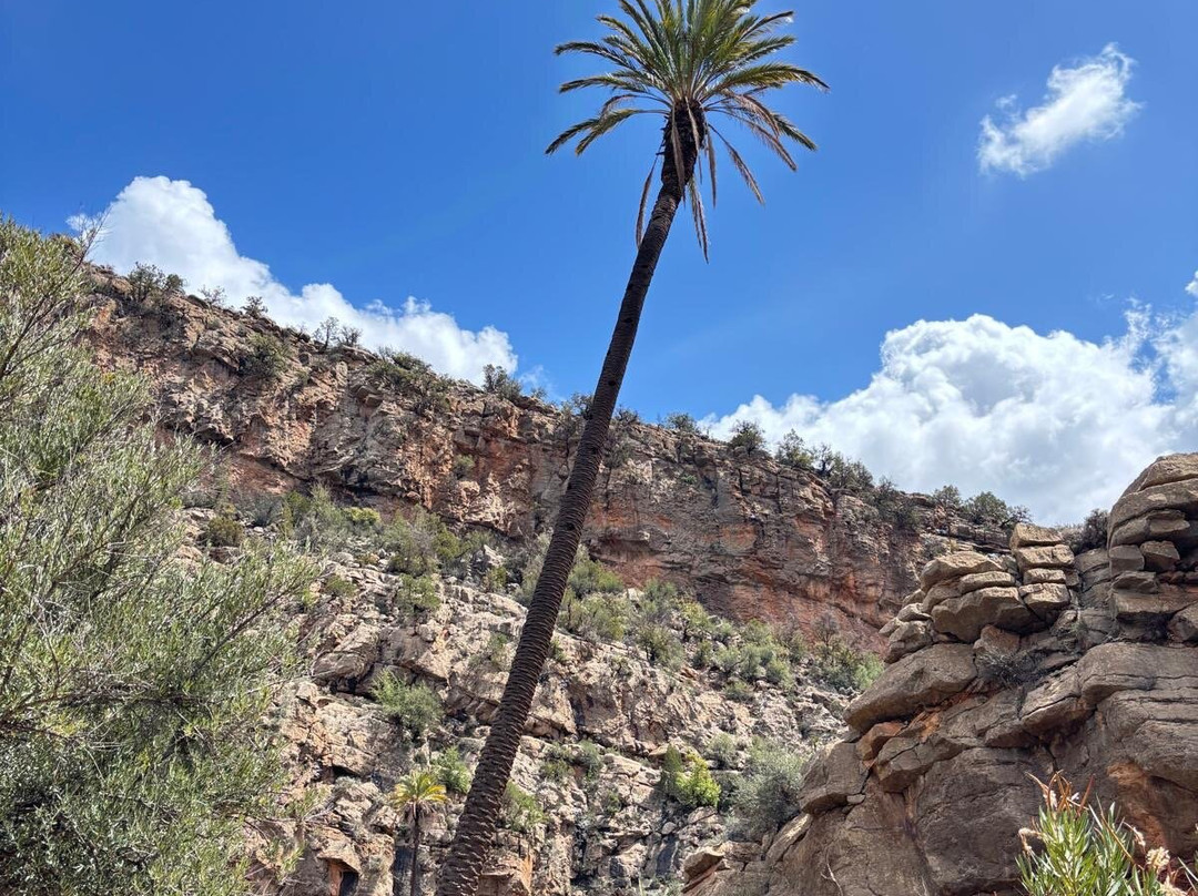 Tayyu Hiking-Taghazout必去景点