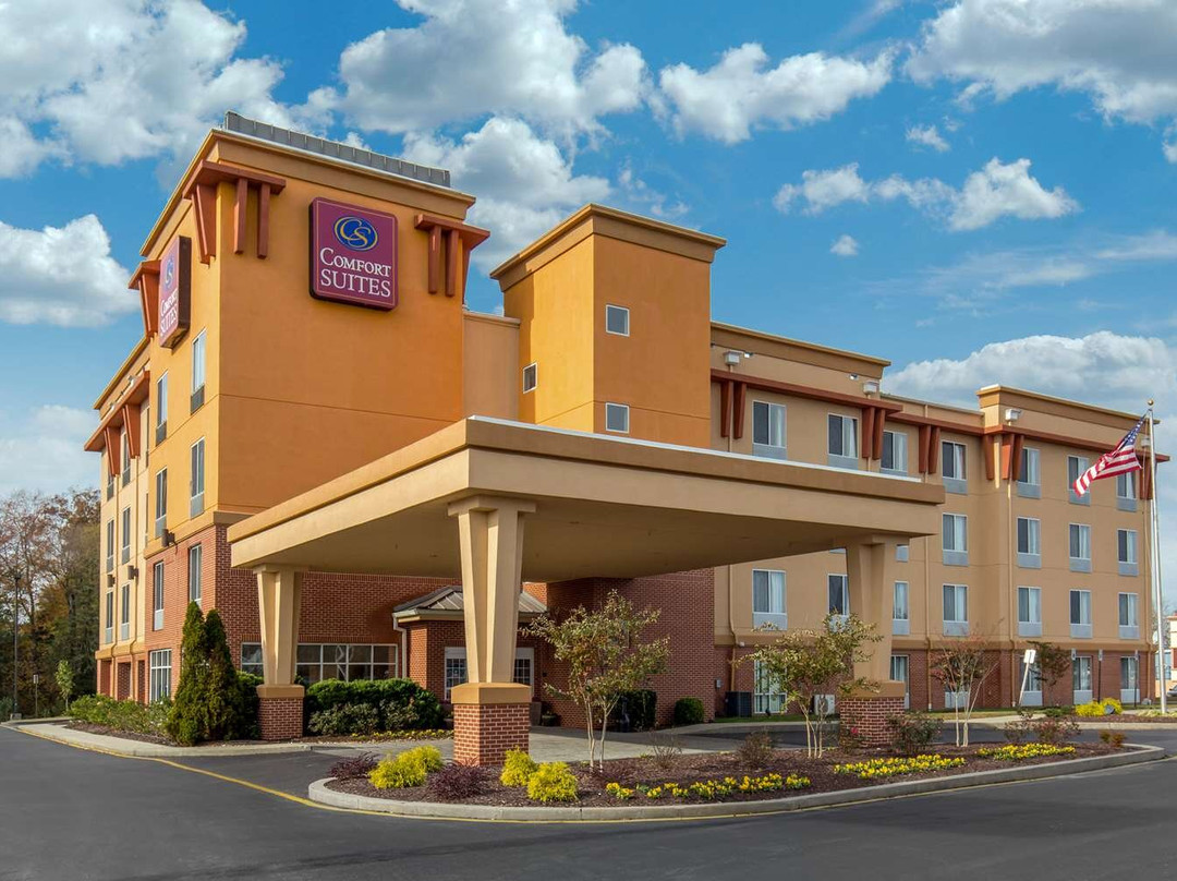 Federalsburg酒店住宿-Comfort Suites Seaford