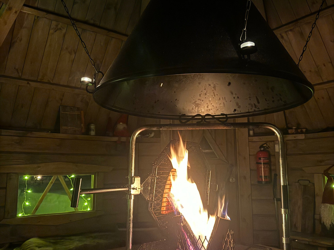 Wild Blueberry-罗瓦涅米必去景点