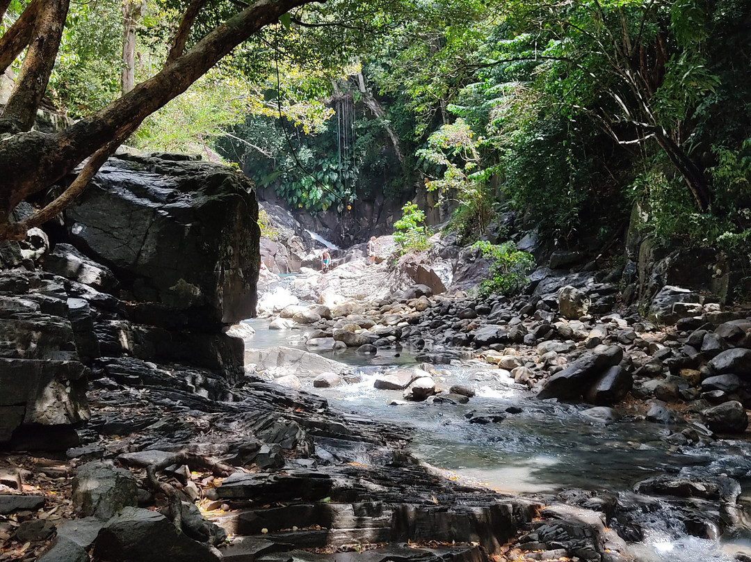 Cascade Le Saut de L'Acomat-Pointe-Noire必去景点
