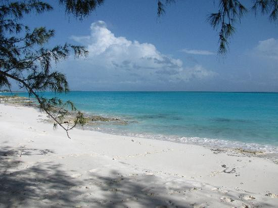 Winter Haven Inn主图