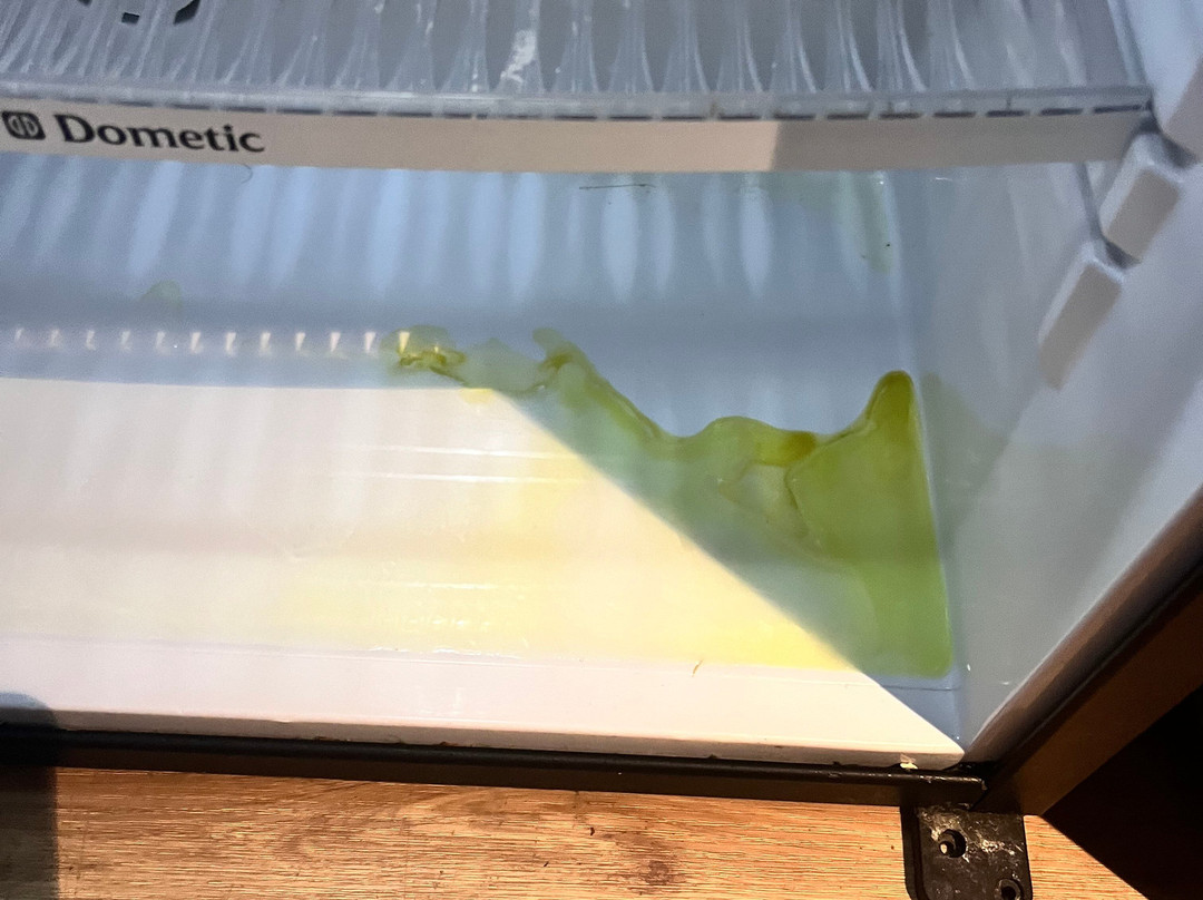 The Nest on Newcastle主图