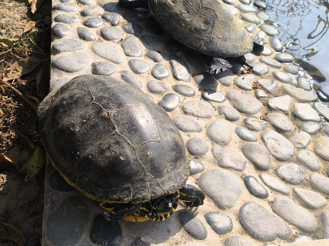 Mirador de Uchupampa主图