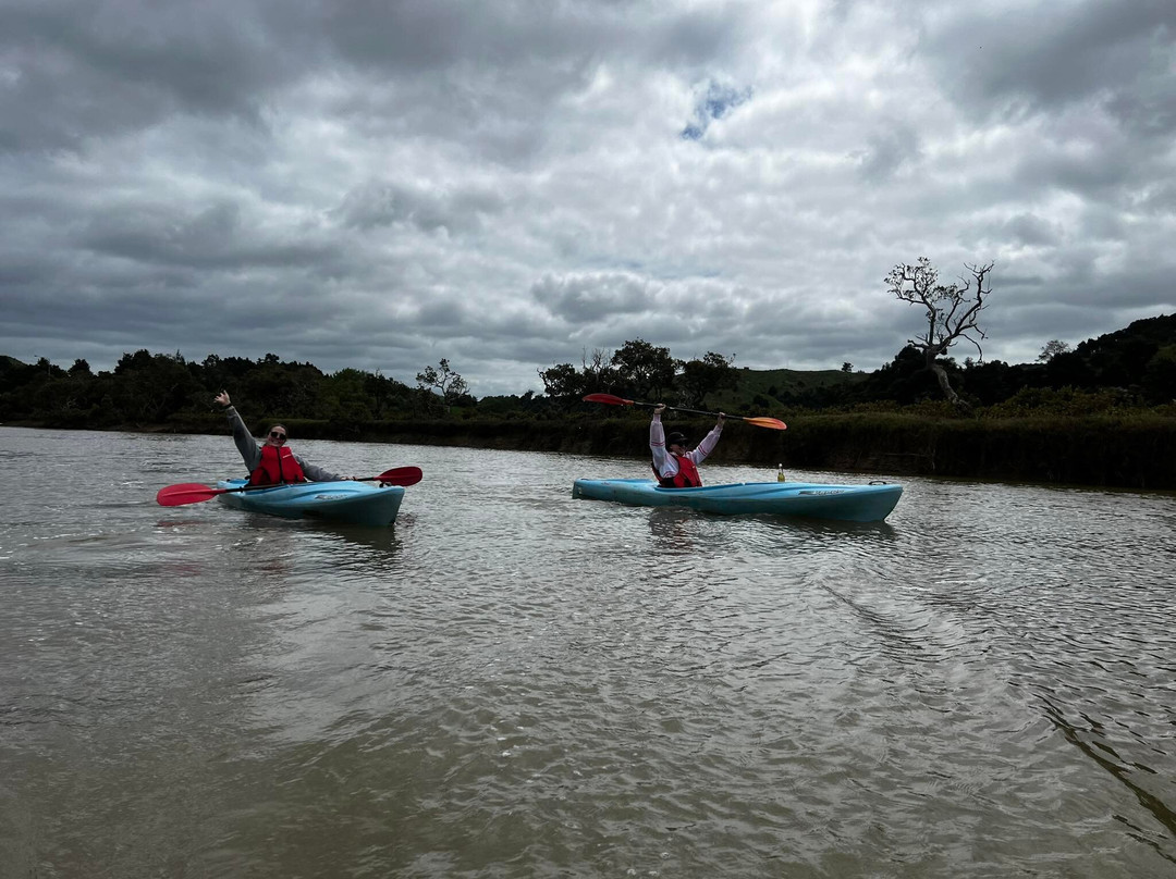 Puhoi River Kayak Hire Ltd Kayak Trips-奥克兰必去景点
