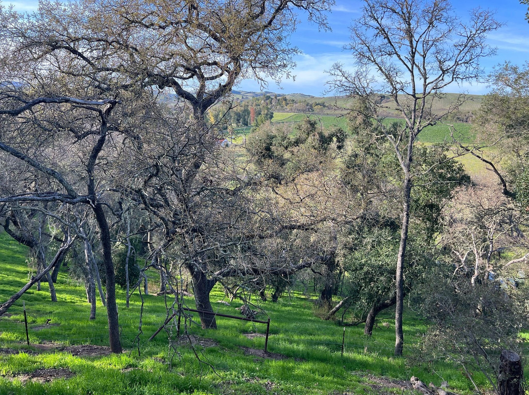 Kindred Oak Farm主图