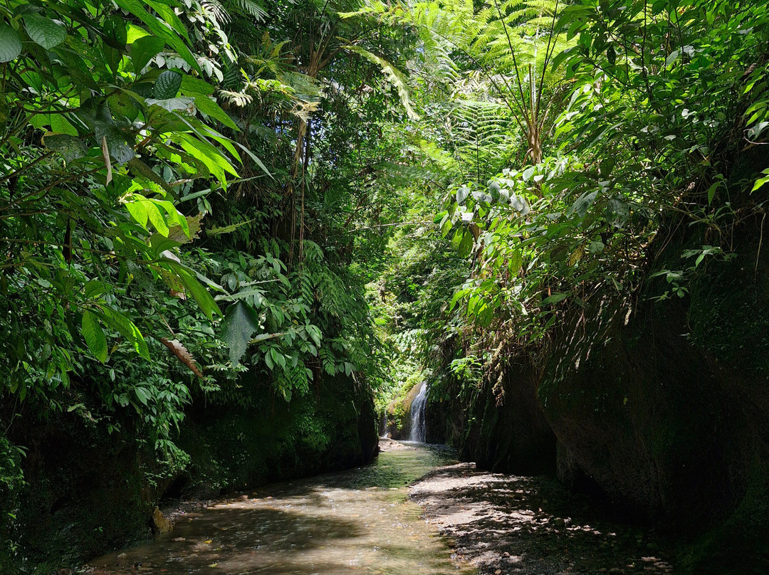 Bali Reiseleiter Fahrer景点图片