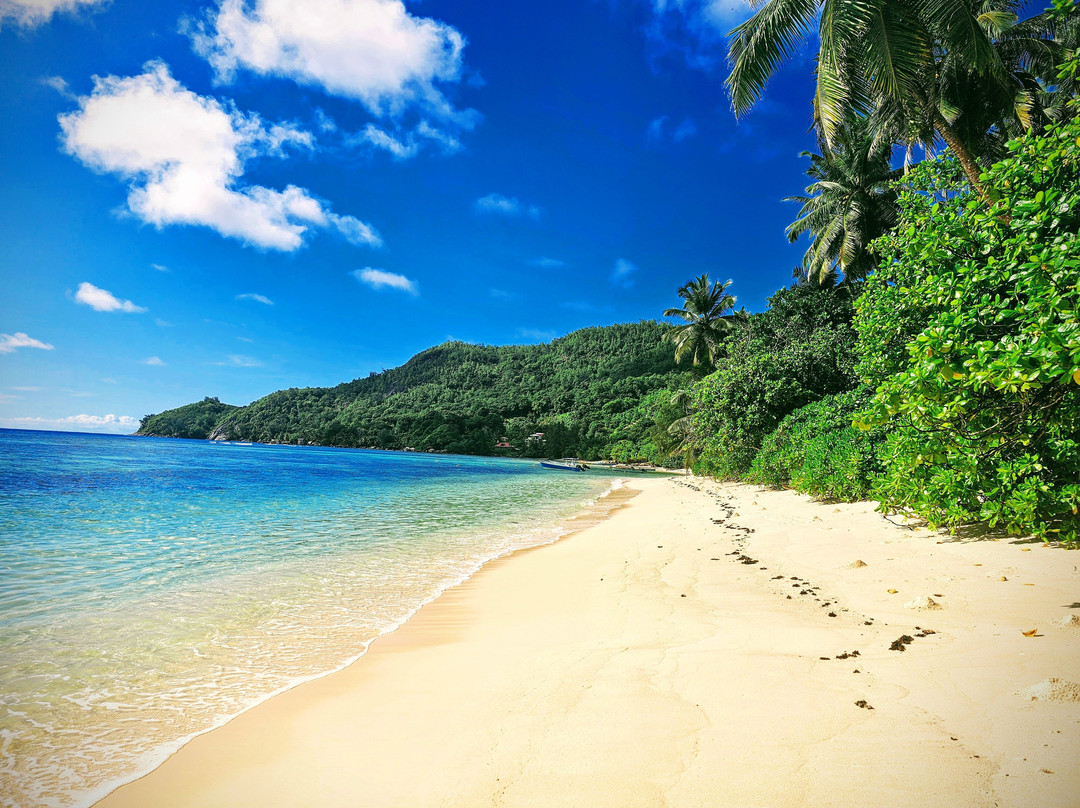 戴安斯弗尔本小木屋假日公园主图