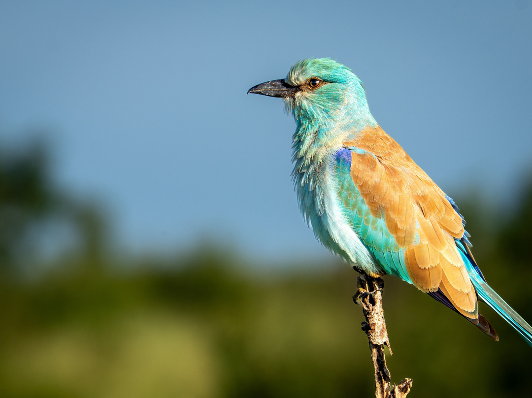 Afrika 24 Reisen-开普敦必去景点