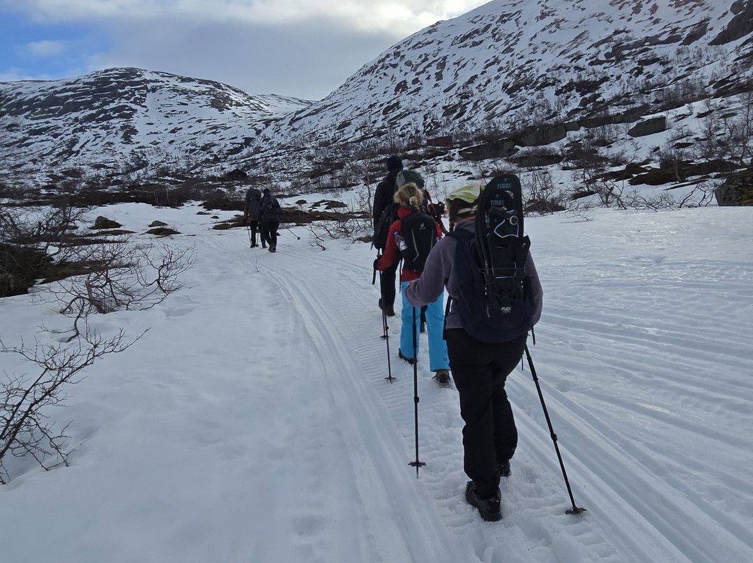Trolltunga Adventures景点图片