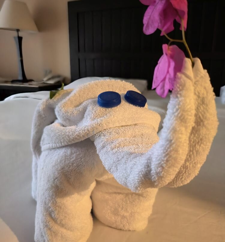 TUI MAGIC LIFE Kalawy主图