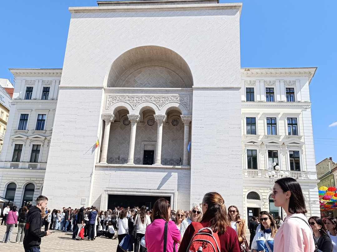 Timisoara Free Tours-蒂米什瓦拉必去景点