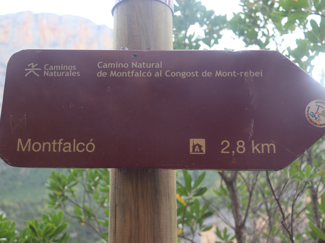 Pasarelas de Montfalco-Viacamp必去景点