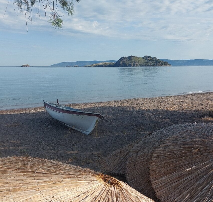 Anaxos Gardens主图