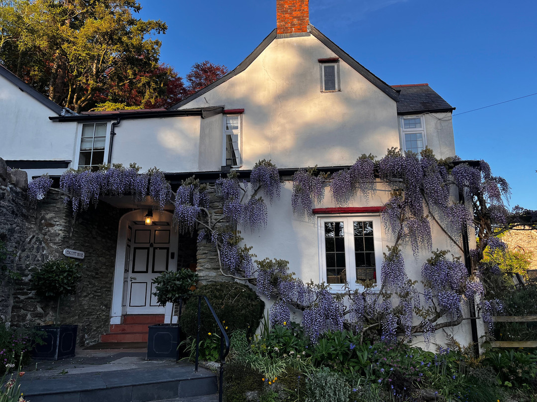 Edgcott House主图