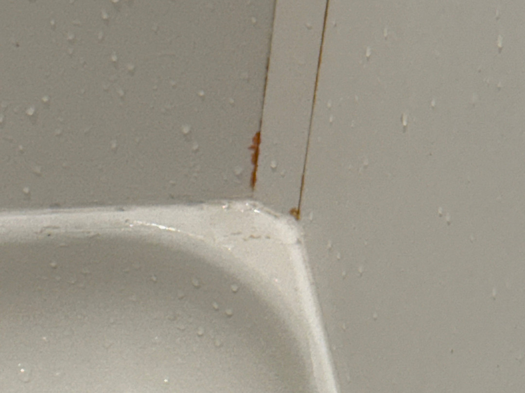 Home2 Suites by Hilton Rochester Greece主图