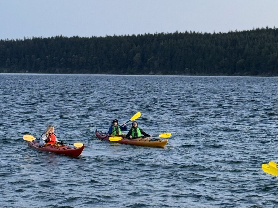 Olympic Tours-Nordland必去景点