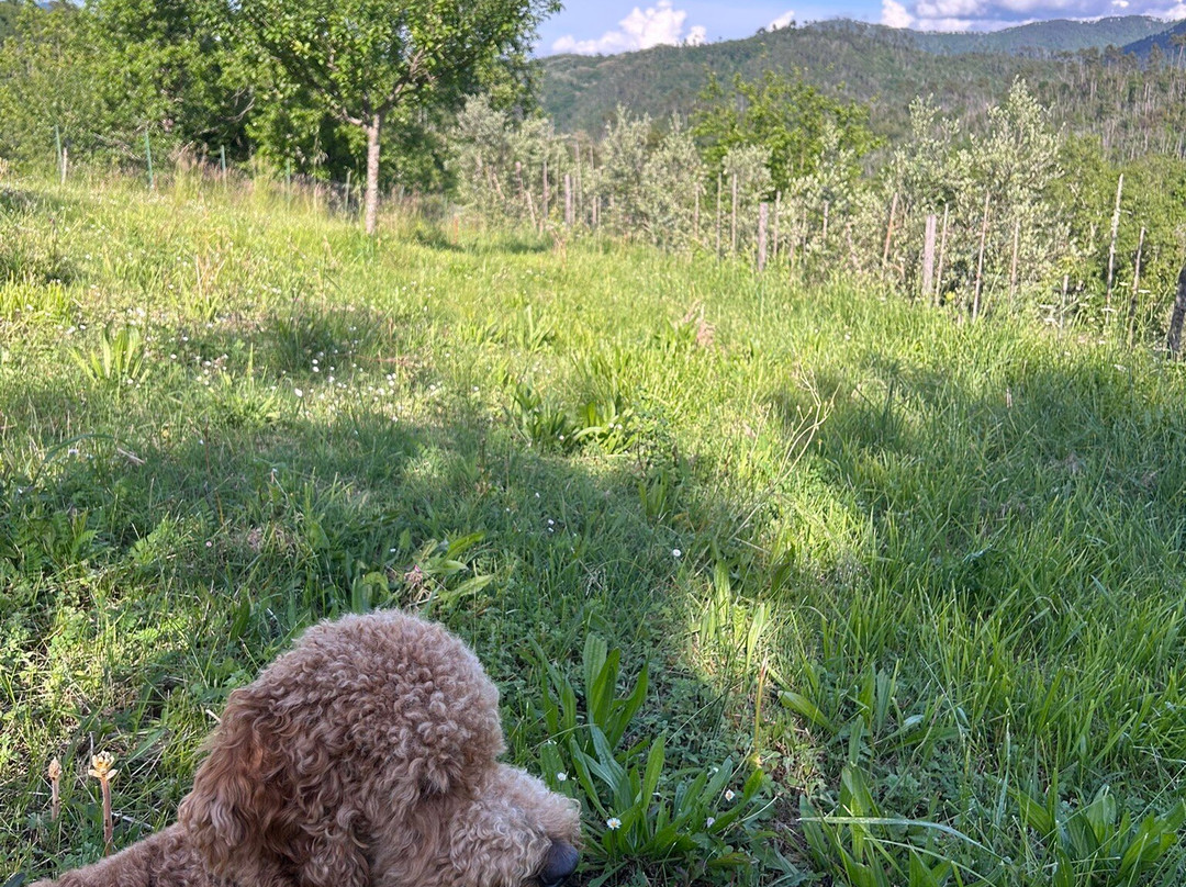 B&B Angiò nel Ceré主图