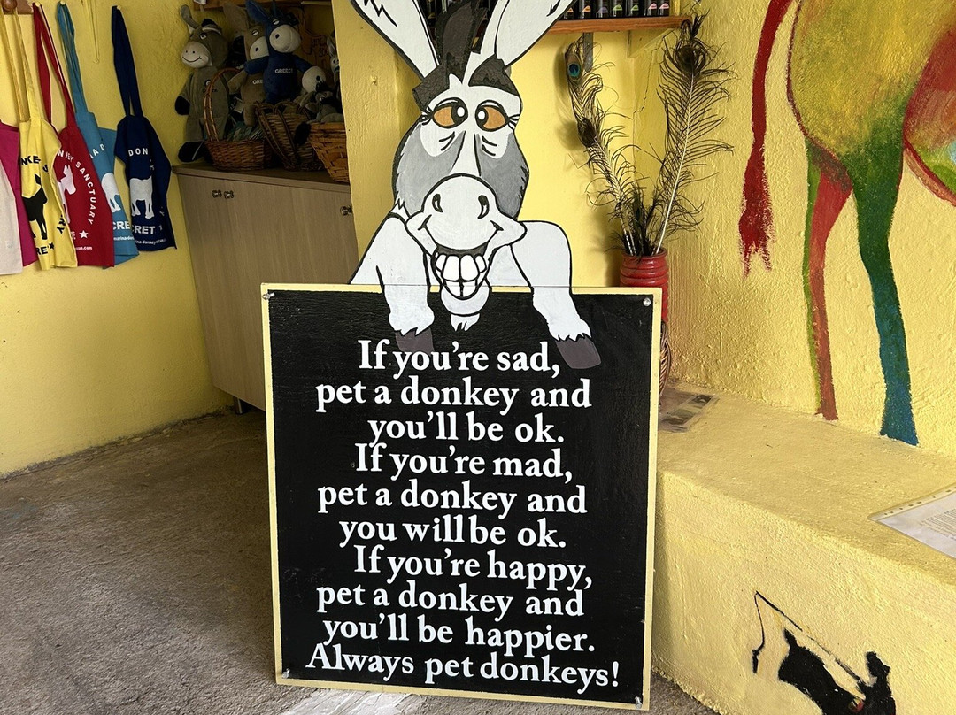 Agia Marina Donkey Rescue Sanctuary-Petrokefali必去景点